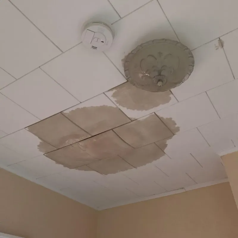 Ceiling Water Damage Repair in Wilmington Island, GA